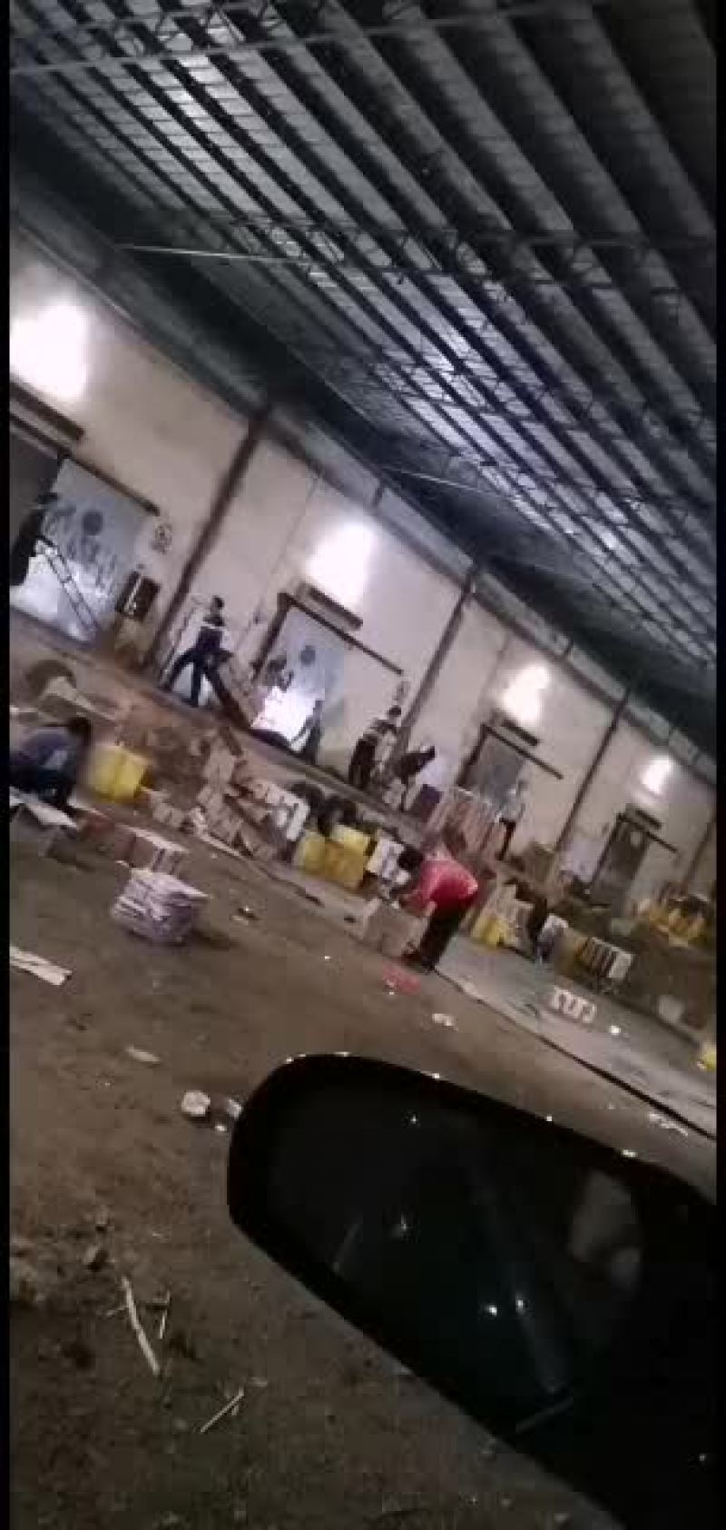 广东徐闻精品扎把韭菜