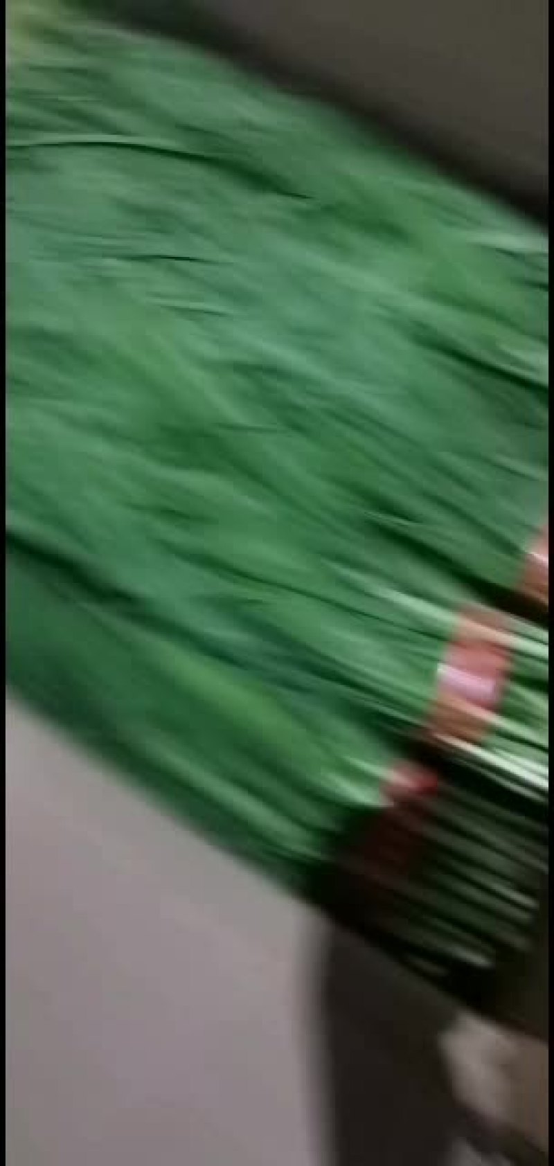 广东徐闻精品扎把韭菜