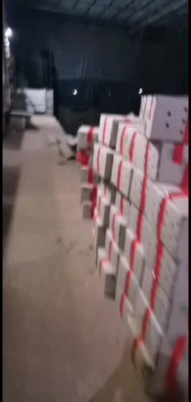 广东徐闻精品扎把韭菜