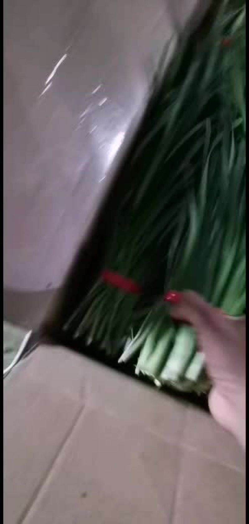 广东徐闻精品扎把韭菜