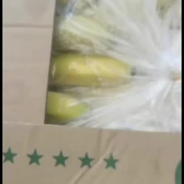 广地纯三把不受寒香蕉果面干净