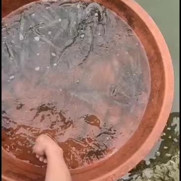 虾：三十头，二十头，