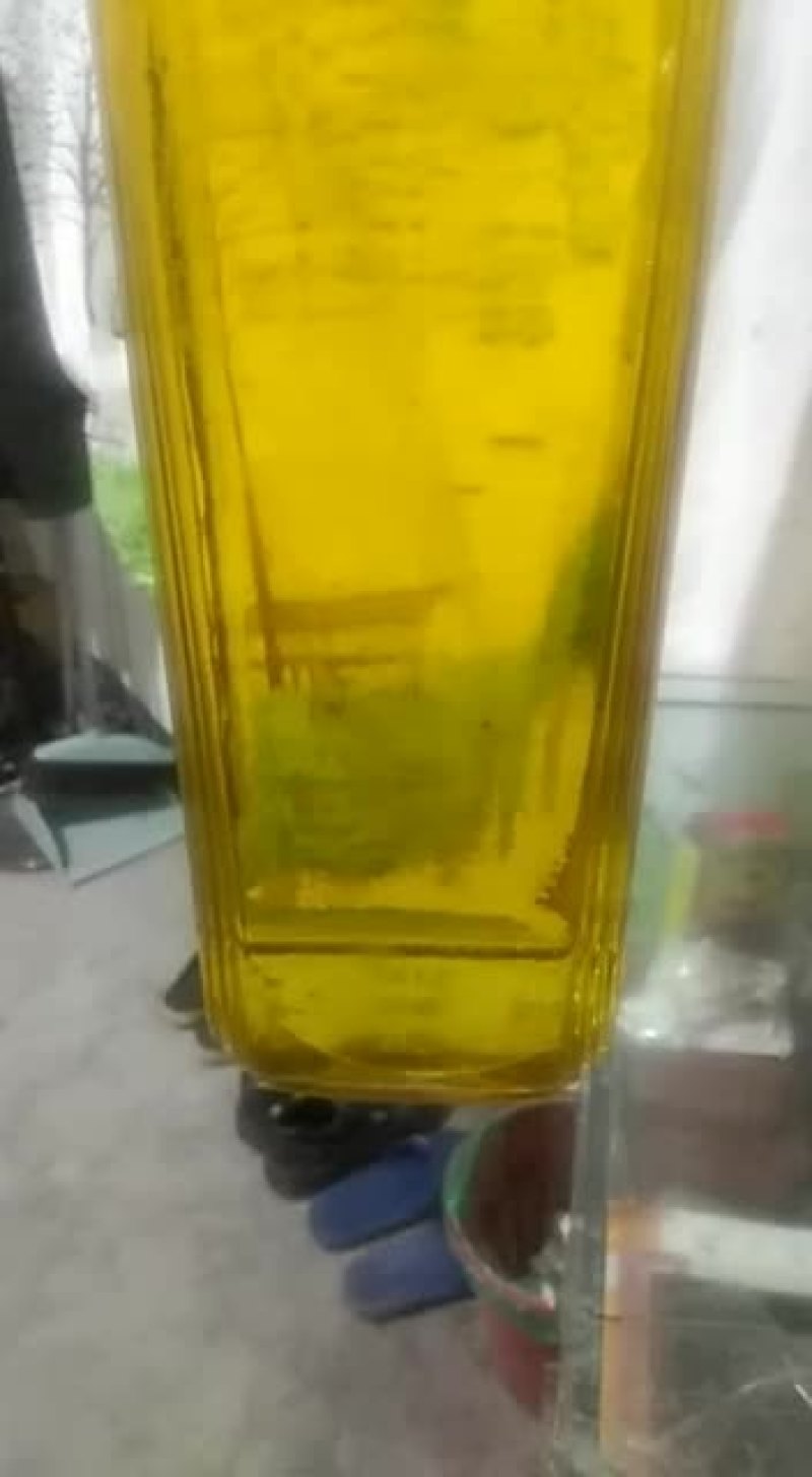 野生茶籽油：浙江：开化…