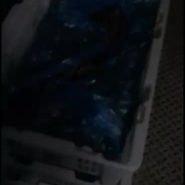 鲜平菇，这两天有点忙冷，量小价格上涨