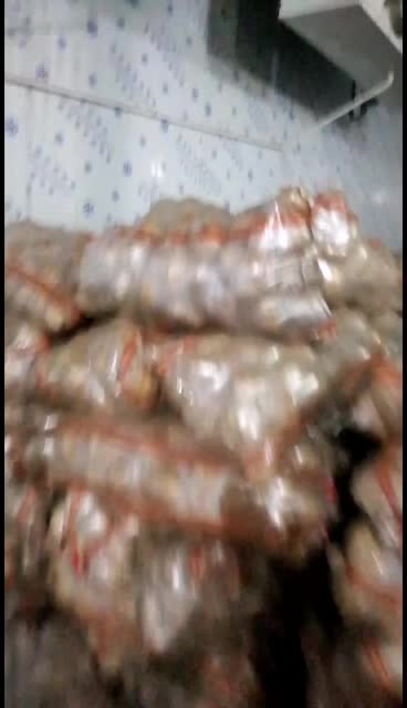 陕北土豆v7黄心大小都有