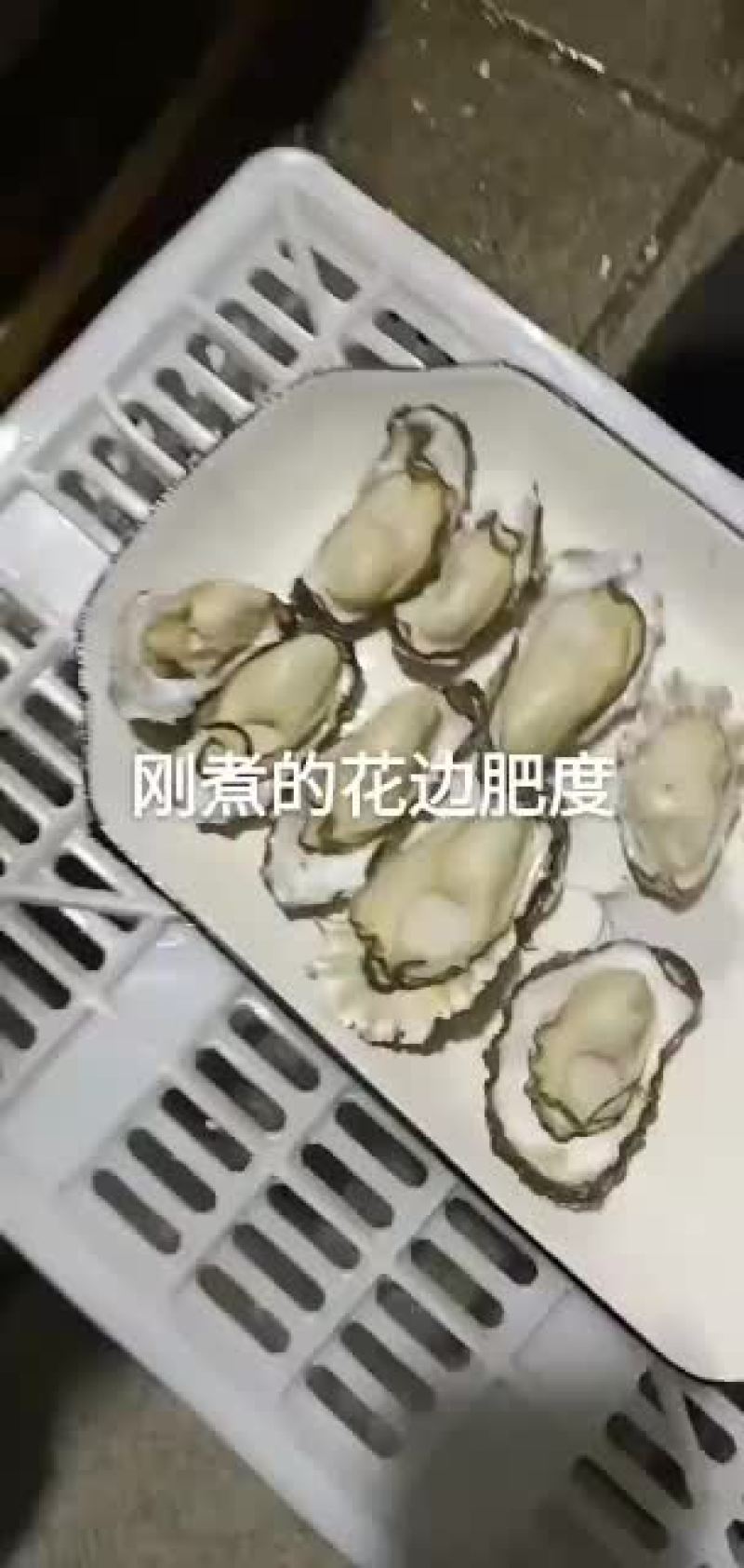 山东乳山生蚝一件代发全国