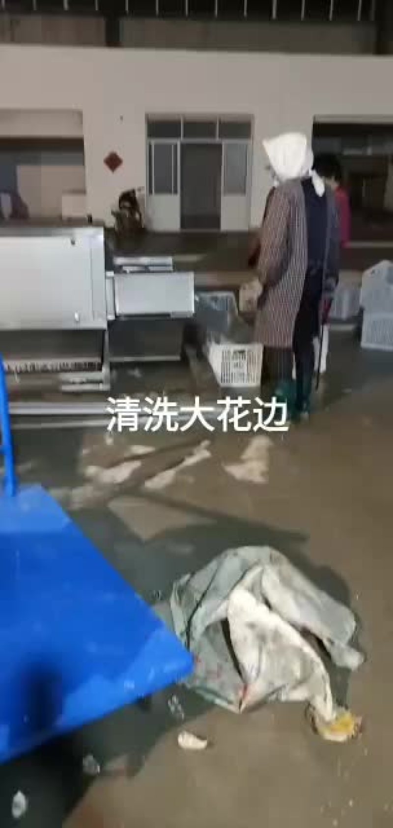山东乳山生蚝一件代发全国