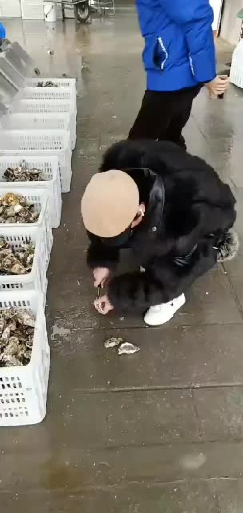 山东乳山生蚝一件代发全国