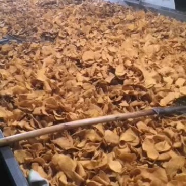 薯片加工厂好吃的薯片
