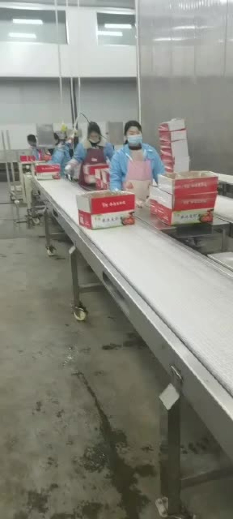 龙虾尾厂家，代加工，全国发货