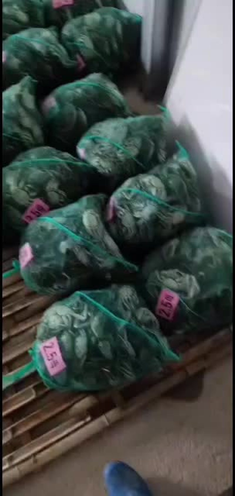 无为精品红膏大闸蟹螃蟹类