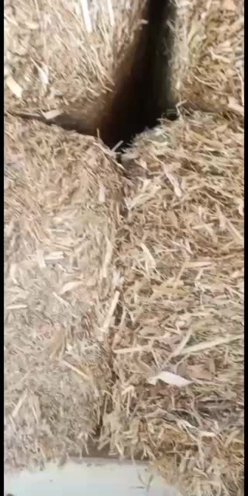 玉米秸秆柔丝草无土无膜