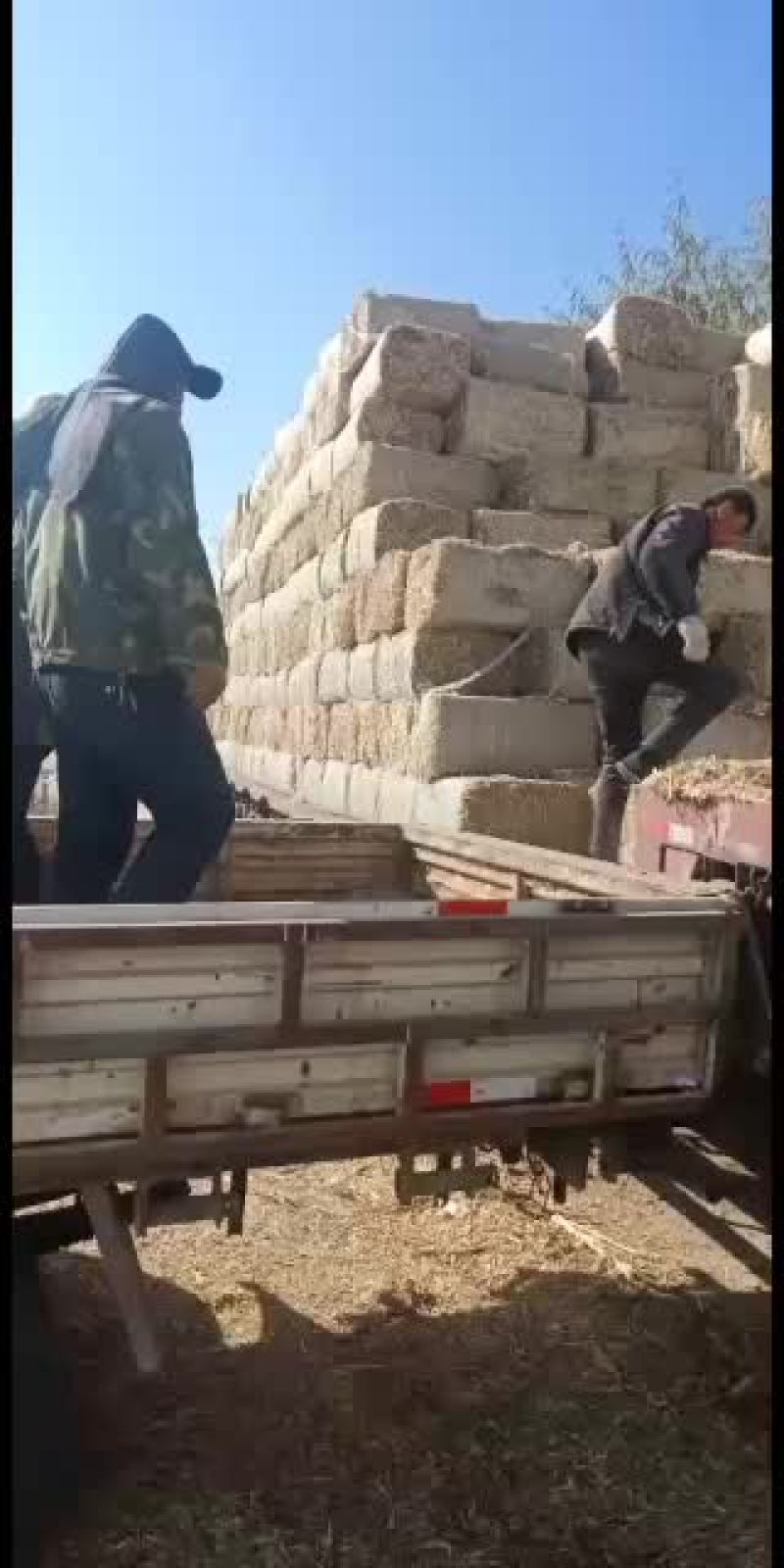 玉米秸秆柔丝草无土无膜