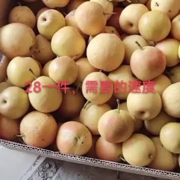 辽宁省海城市南果梨产地供应链一件代发诚招全国各大电商合作