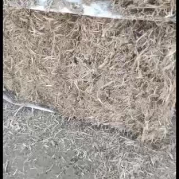 玉米柔丝无土无膜无滴灌带