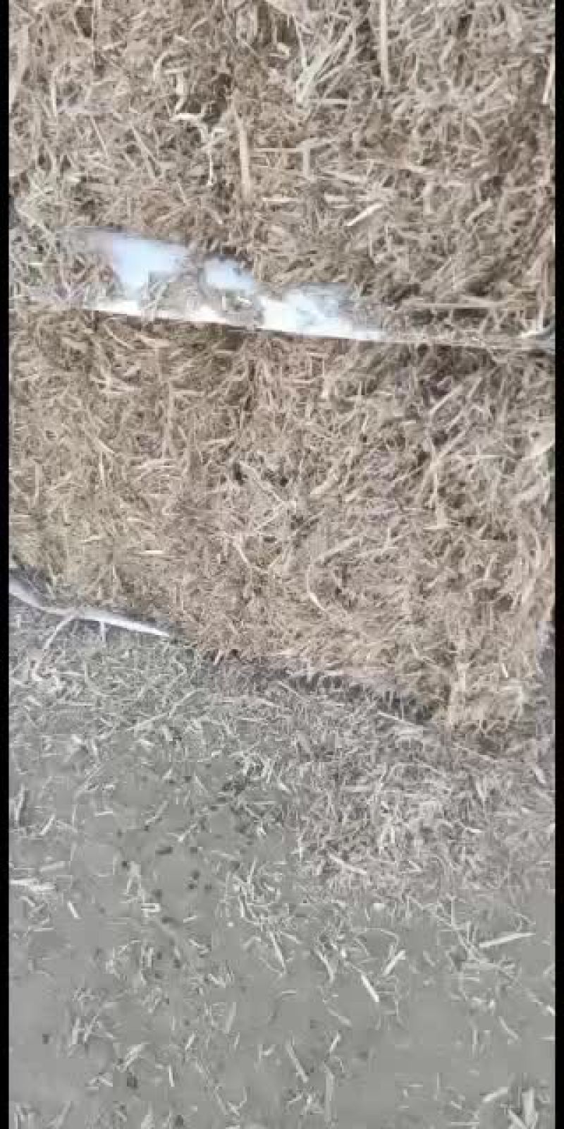 玉米柔丝无土无膜无滴灌带
