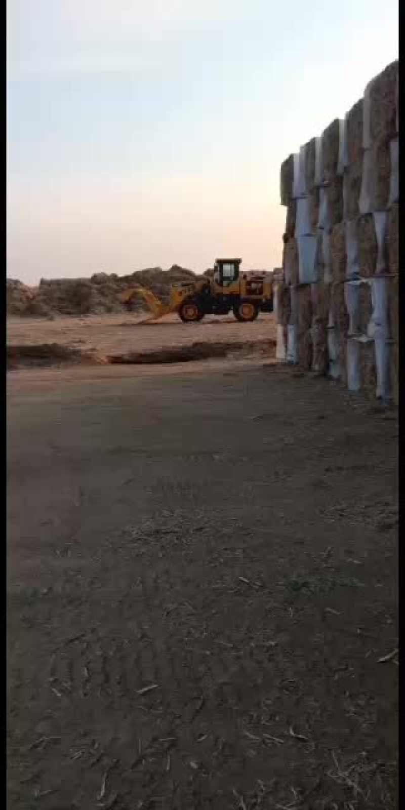 玉米柔丝无土无膜无滴灌带