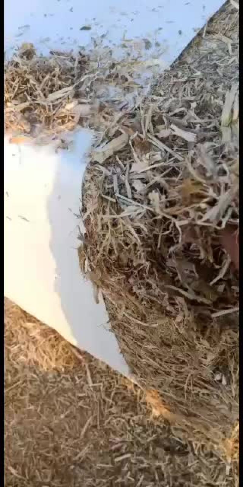 玉米柔丝无土无膜无滴灌带