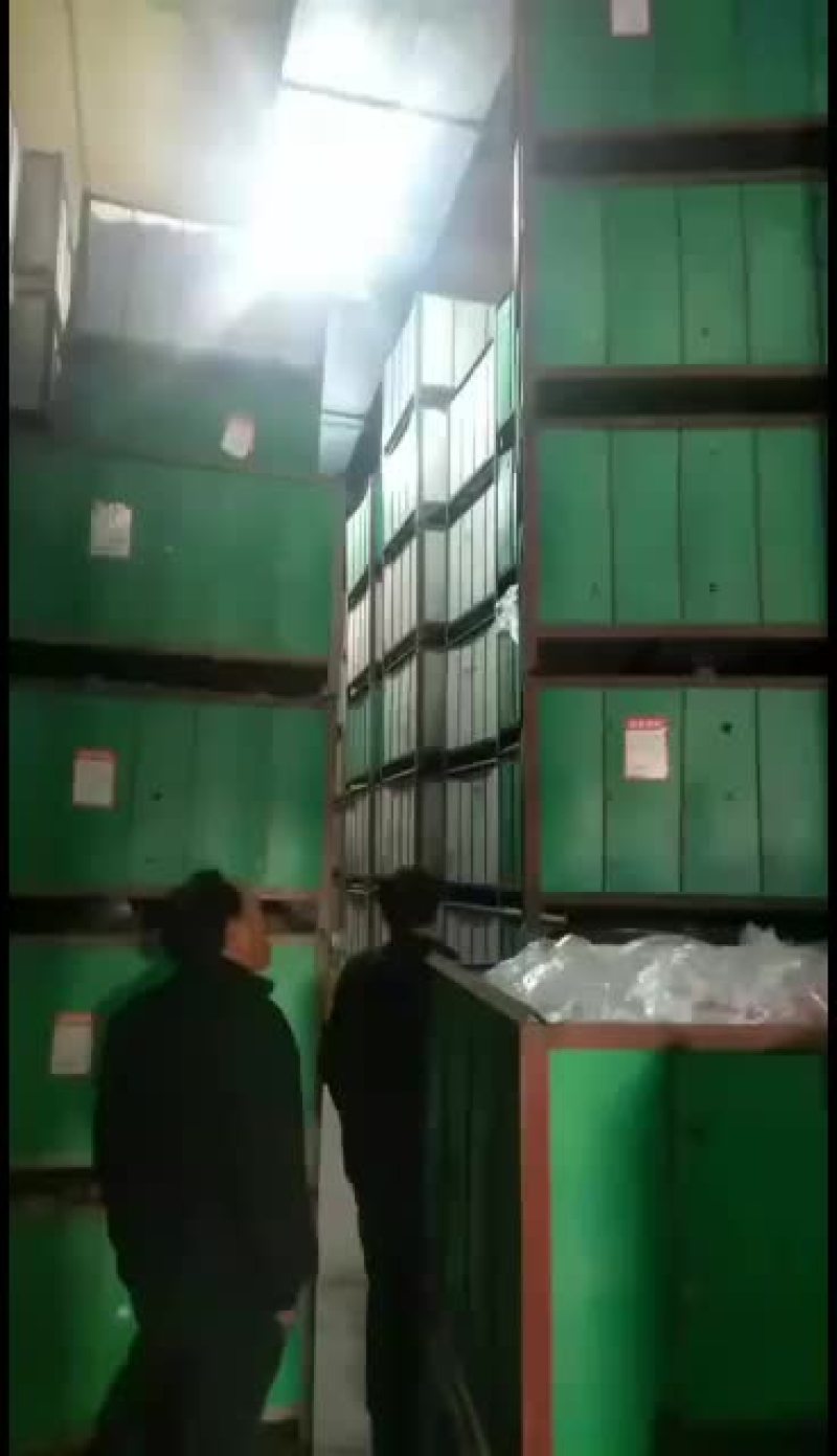 甘肃天水秦安山区红富士地窖货冷库货大量有货中