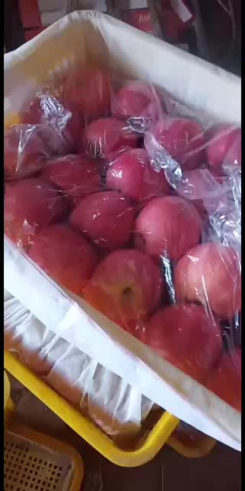 甘肃天水秦安山区红富士地窖货冷库货大量有货中