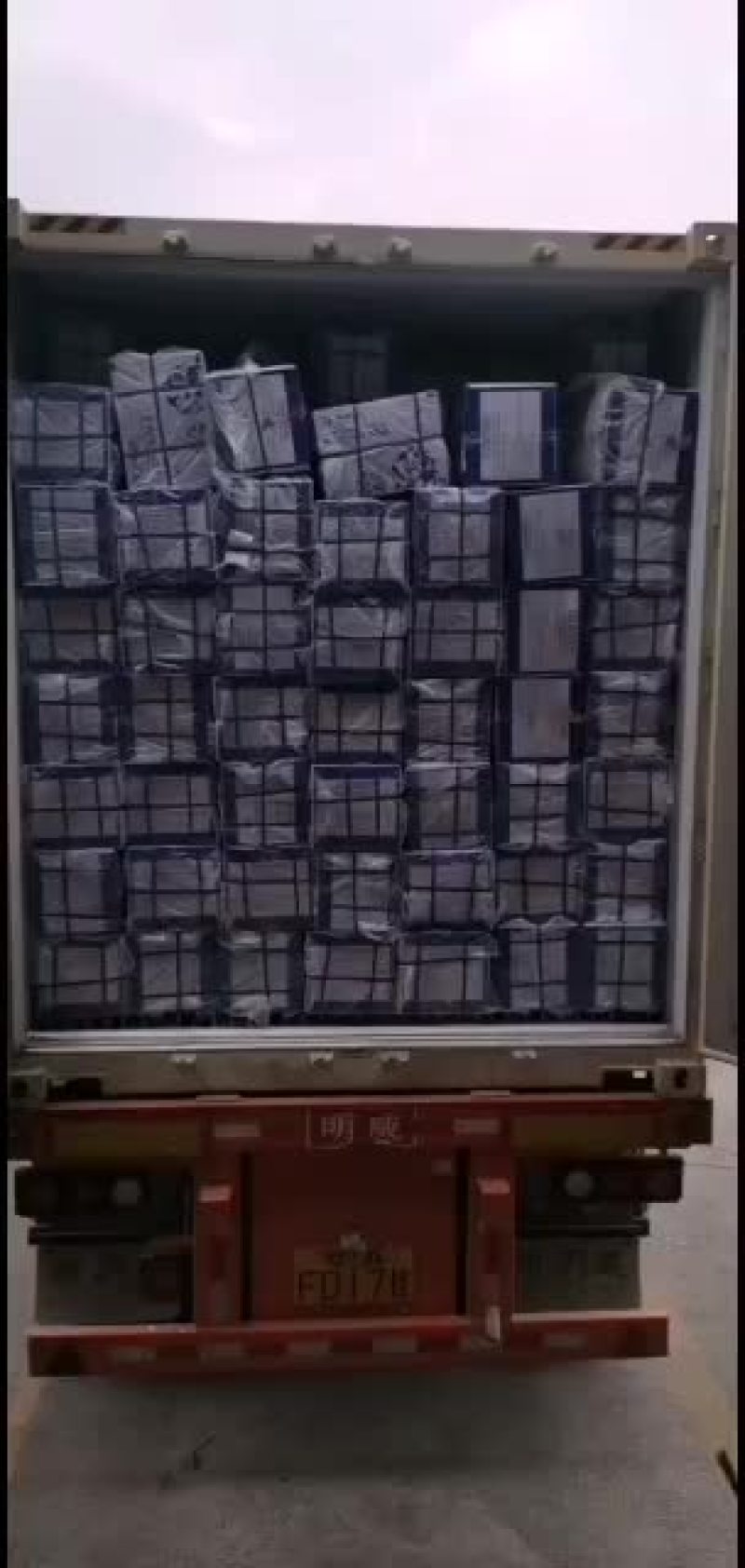 “源来是鱼”巴沙鱼系列