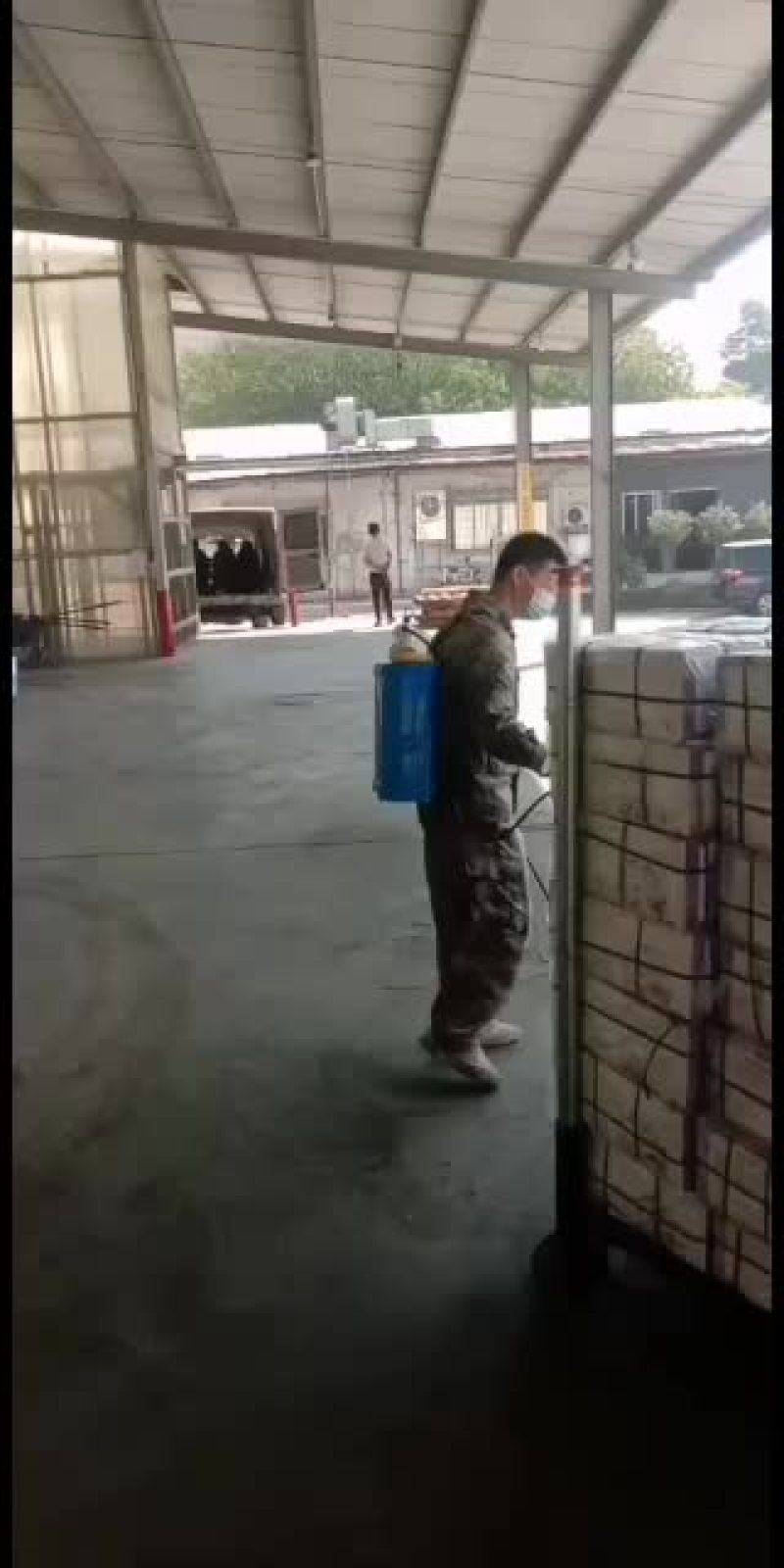 “源来是鱼”巴沙鱼系列