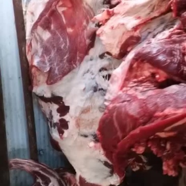 新鲜牛肉。纯干，证票齐全