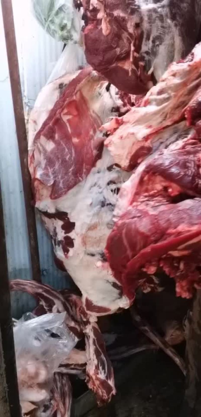 新鲜牛肉。纯干，证票齐全