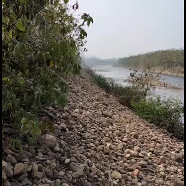 出租或者联营洛河水道，具体开发事宜详谈。
