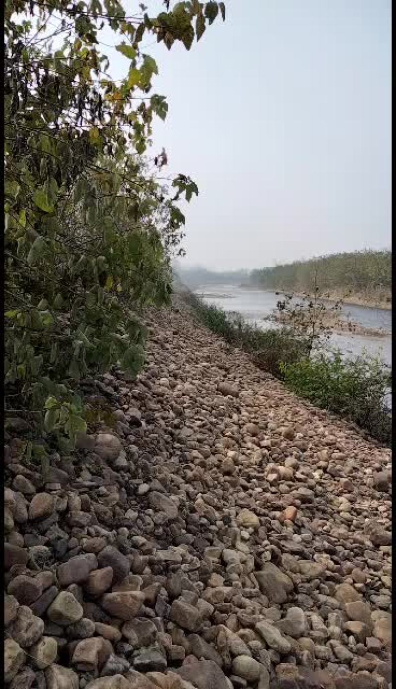 出租或者联营洛河水道，具体开发事宜详谈。