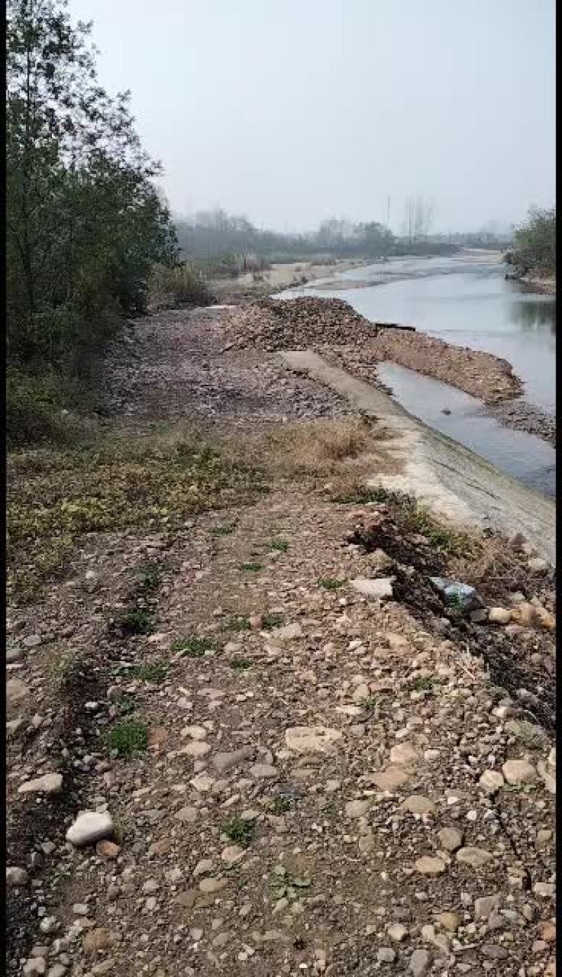 出租或者联营洛河水道，具体开发事宜详谈。