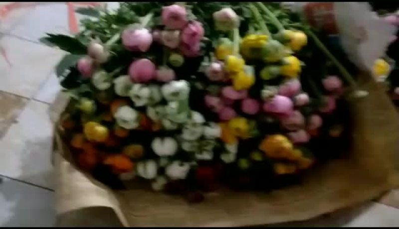 鲜花洋牡丹------云南鲜切花