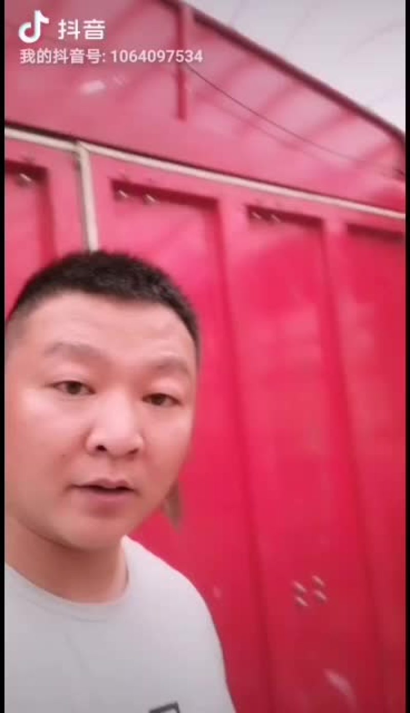 金韩蜜本南瓜大量有货..................