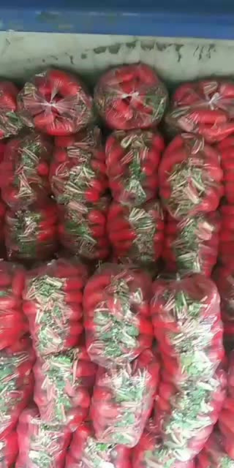 紅皮萝卜大量有货合作一次，终生朋友。