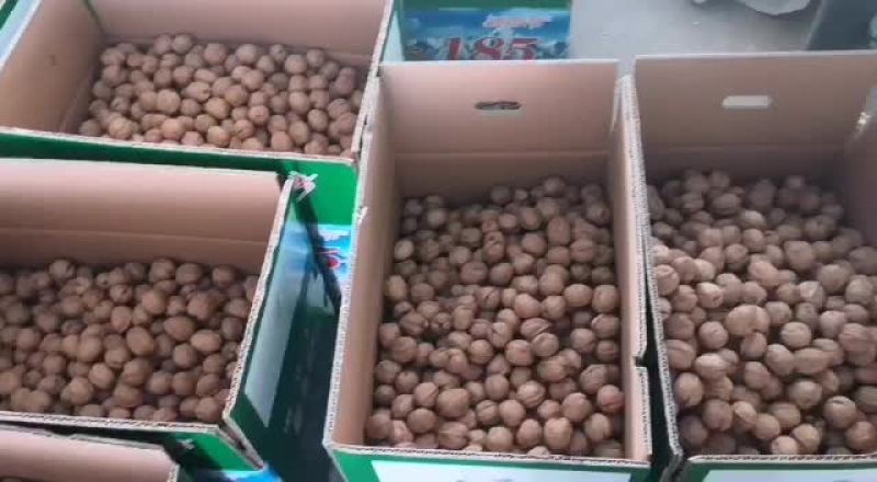 电商对接平台抖音直播带货新疆阿克苏185纸皮核桃诚信经
