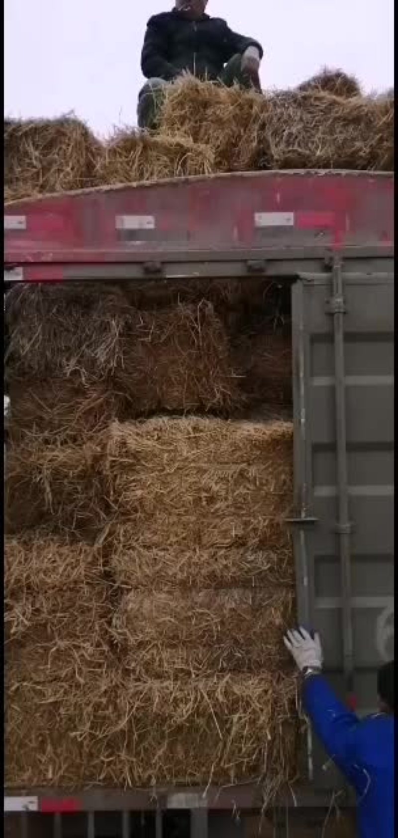 稻草。愿有缘有运的牛老板牛气冲！！！！！！！！！！天。