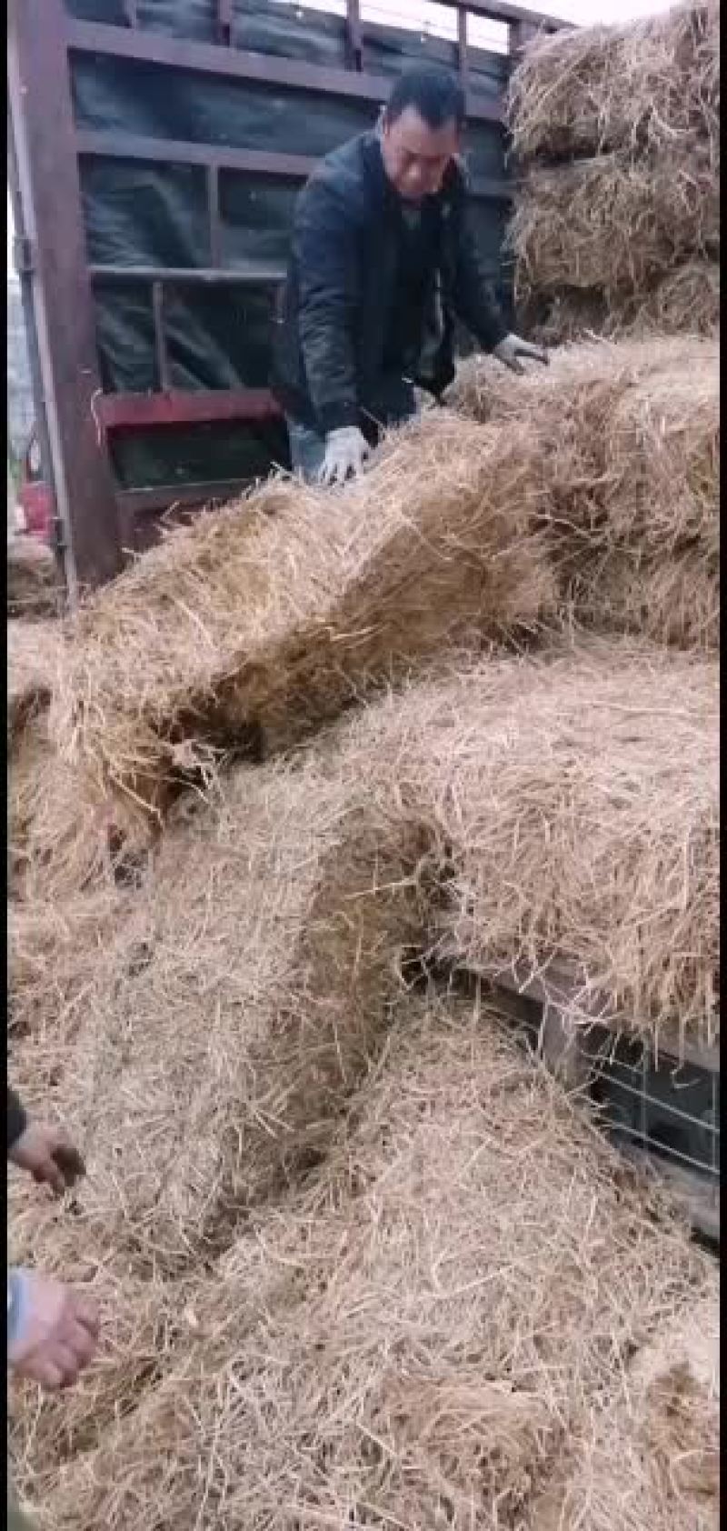 稻草。愿有缘有运的牛老板牛气冲！！！！！！！！！！天。