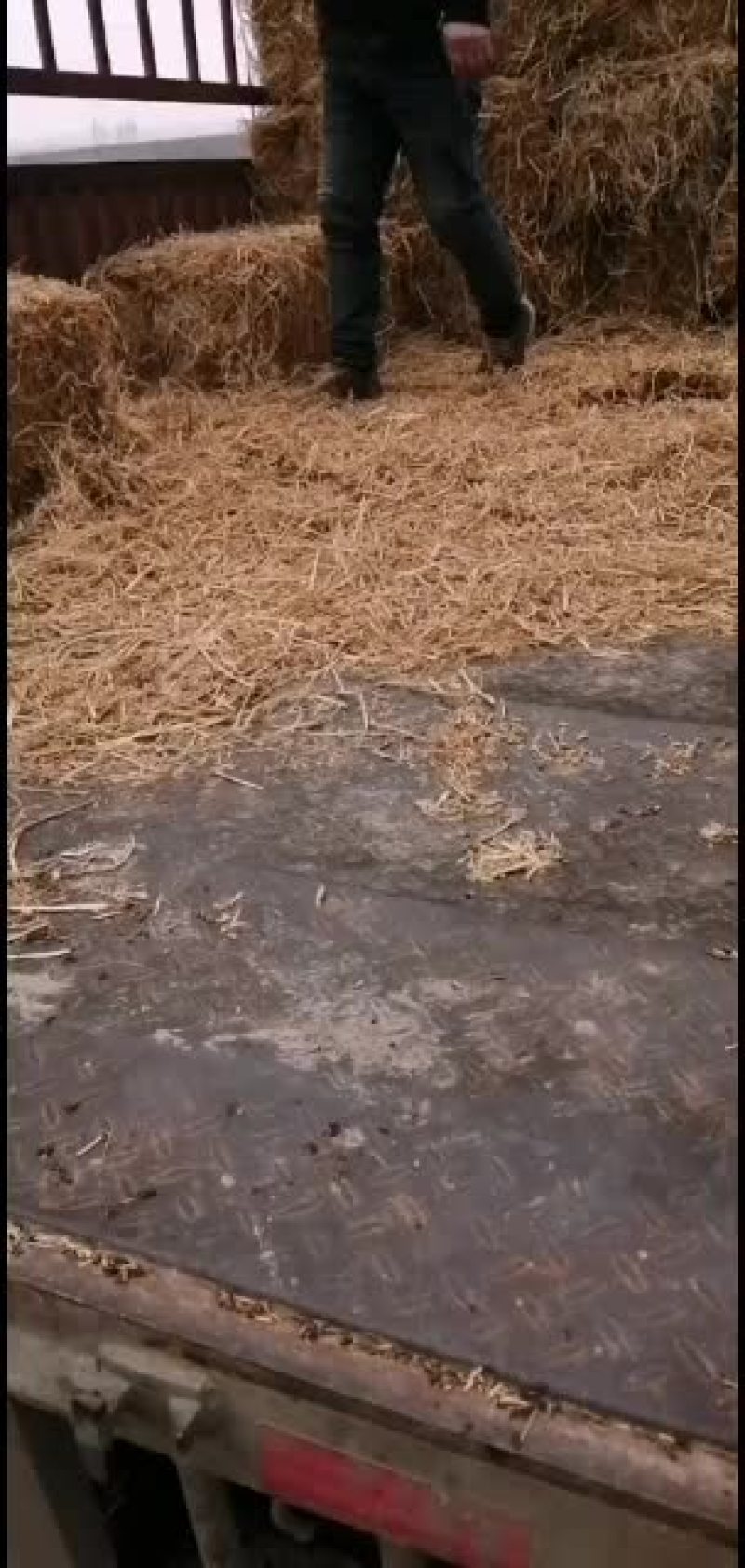 稻草。愿有缘有运的牛老板牛气冲！！！！！！！！！！天。