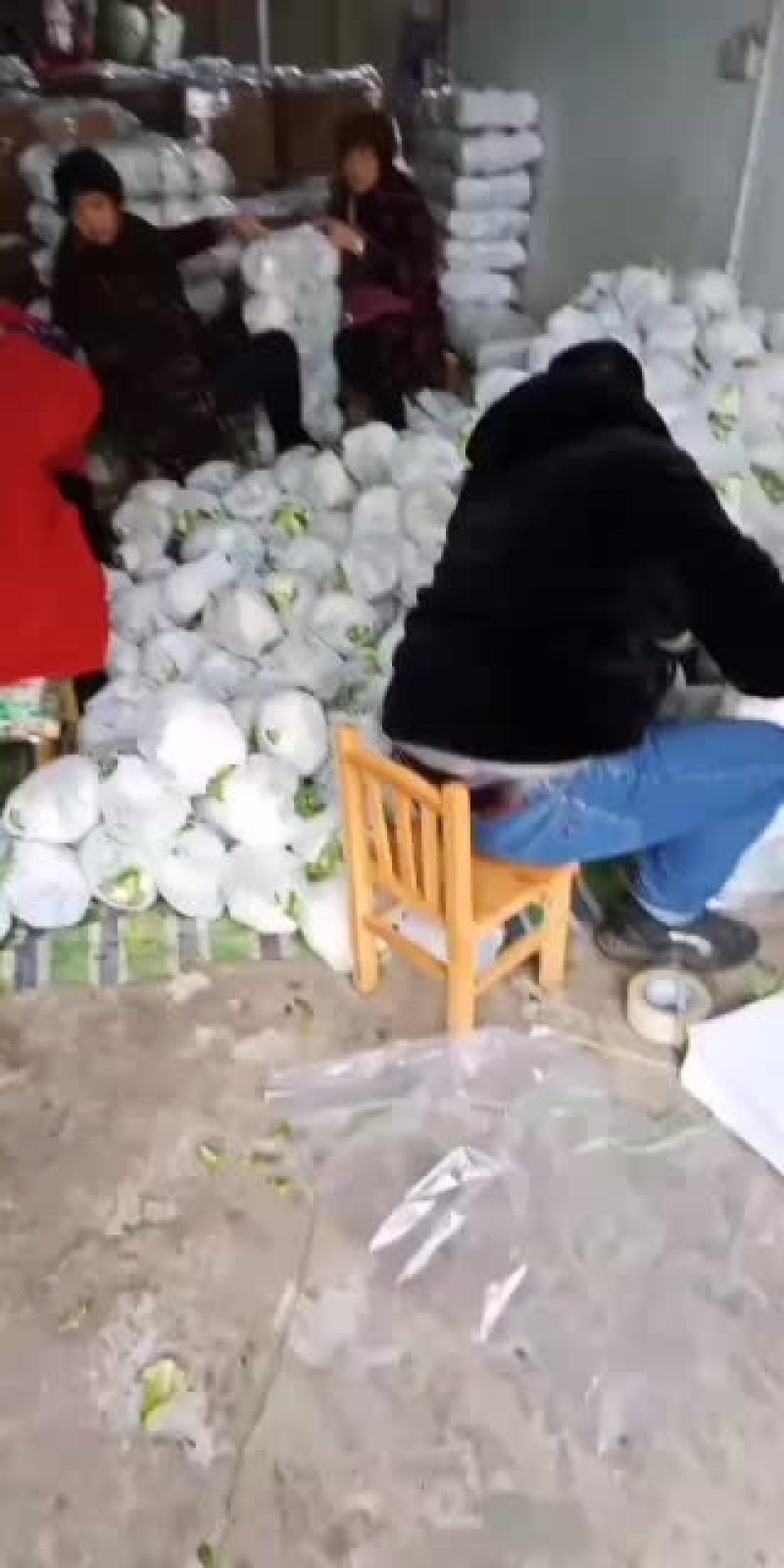 白花菜（加包装加人工费）