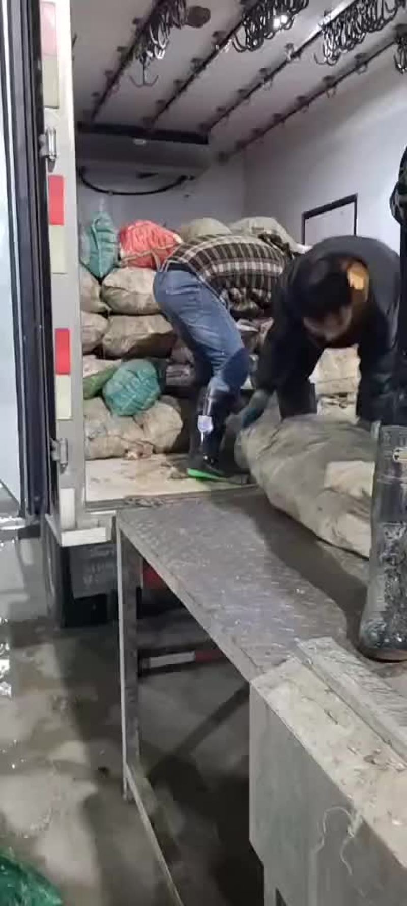 正宗乳山生蚝，连云港港口清洗发货中心，个个都是很肥美，