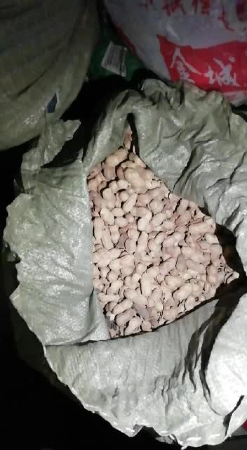 种植户，带皮花生果，自种自卖