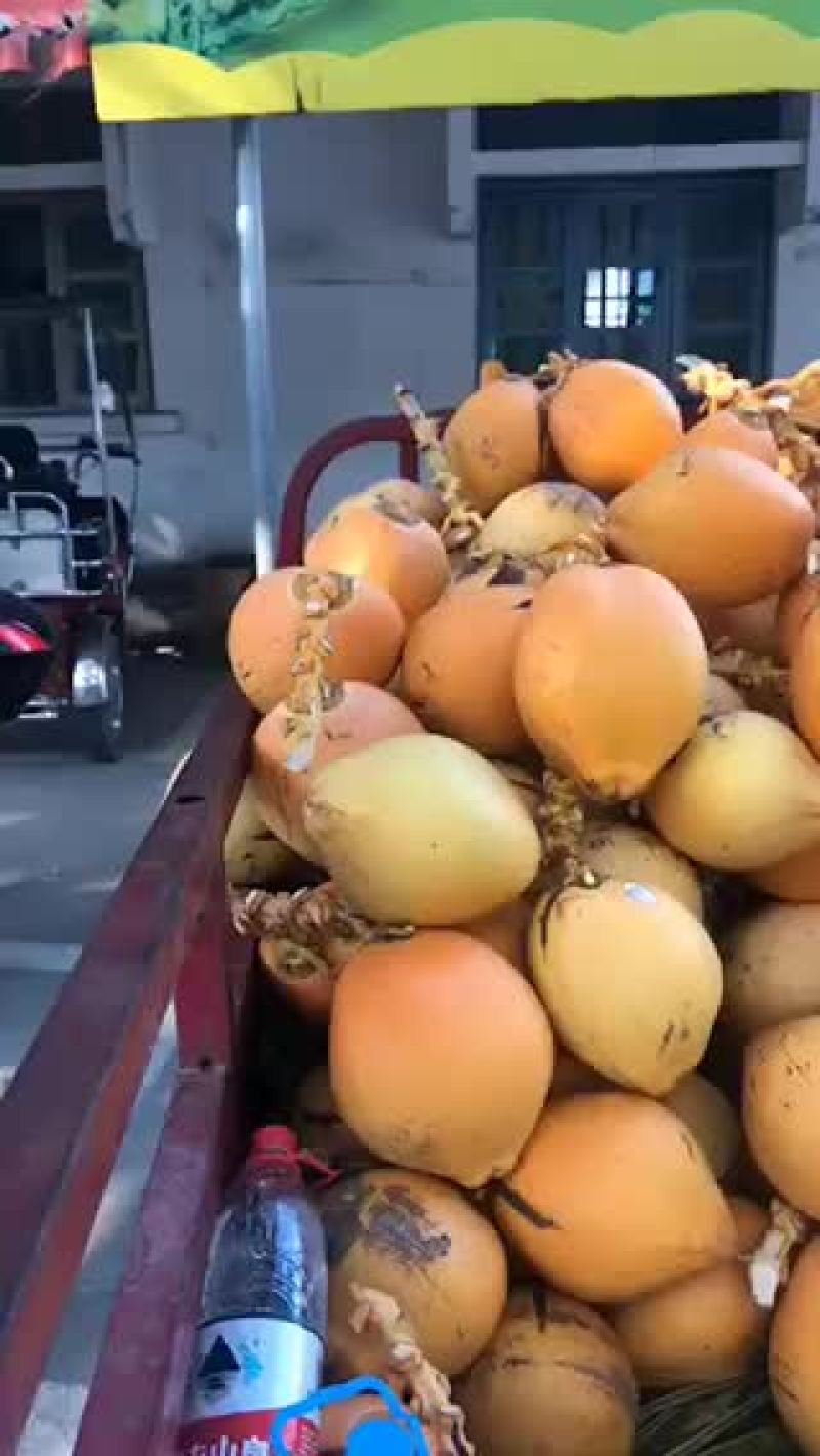 三亚本地金椰水皮薄水甜