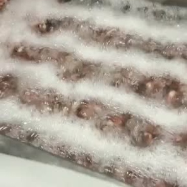 龙虾尾，加工厂，私人定制，成品批发，量大从优
