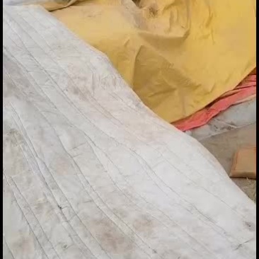 甘肃陇西县福星镇土豆精品陇十