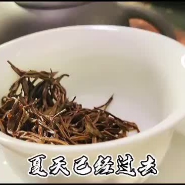 这个冬天你需要祁门红茶