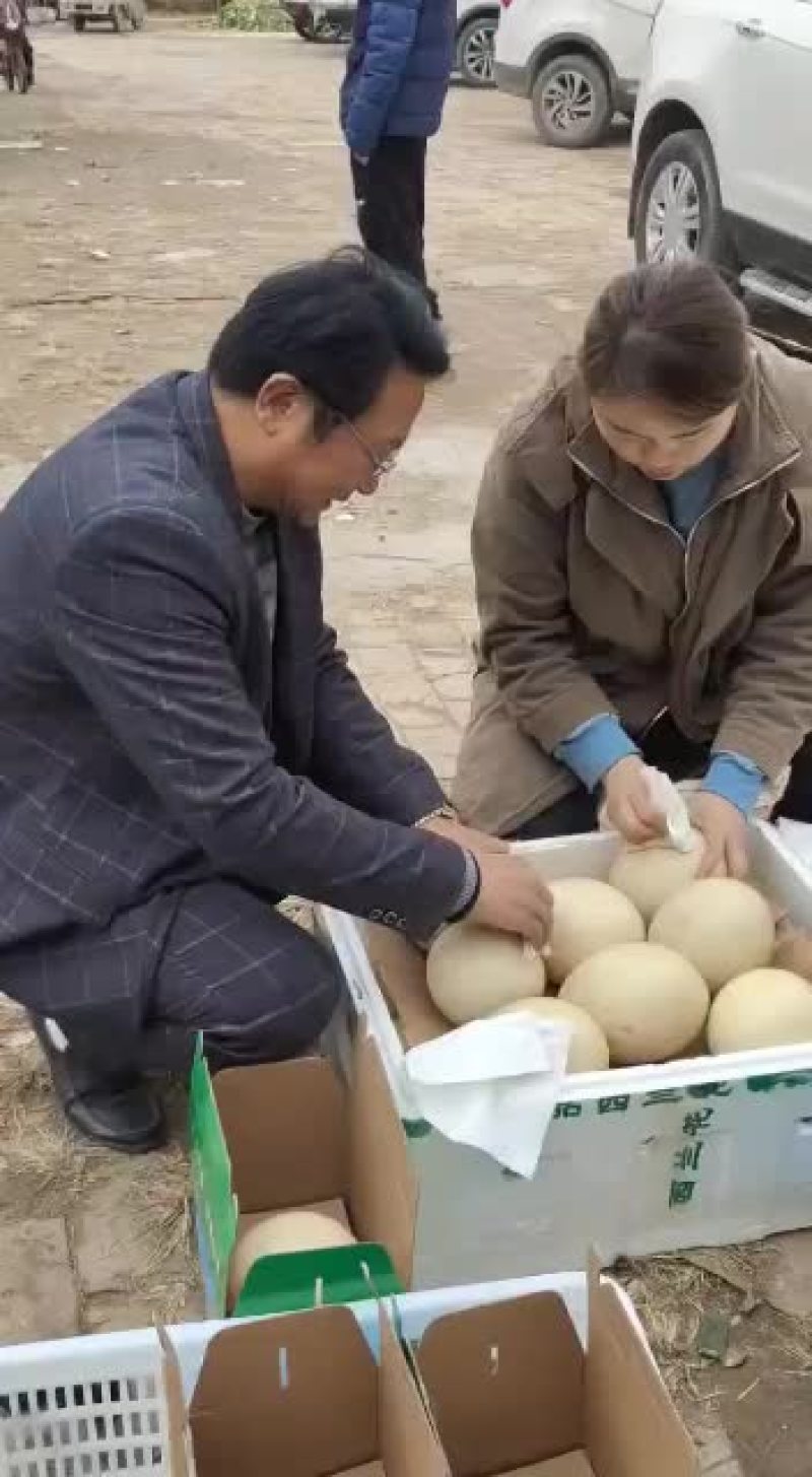 驼鸟蛋，出售中，要的联系