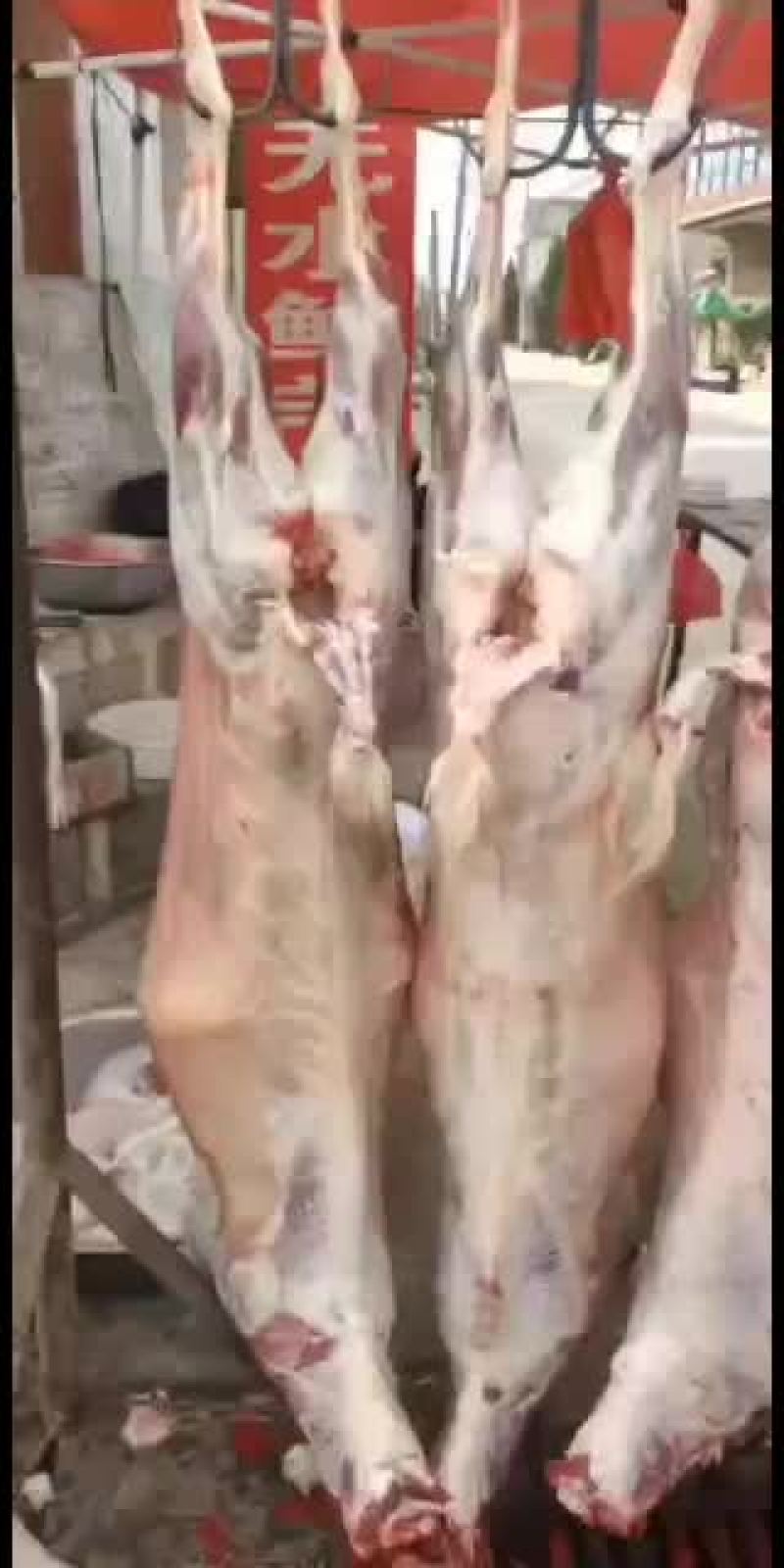 羊白条，鲜羊肉，纯干无水。全国配送，需要的联系