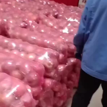 中条山冰糖心红富士苹果