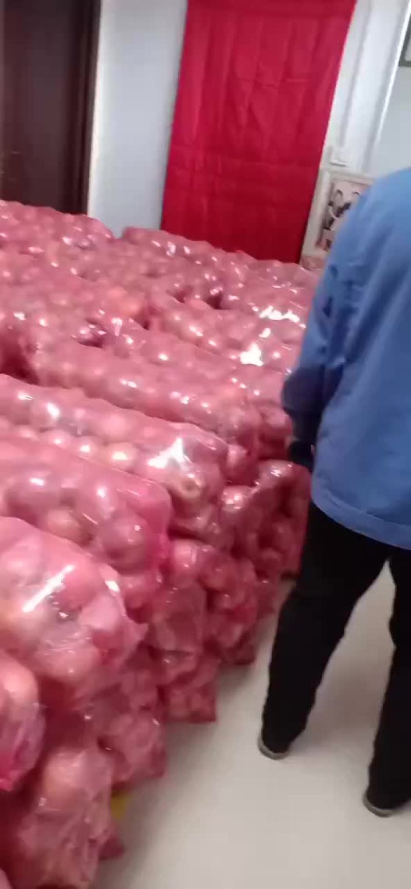 中条山冰糖心红富士苹果