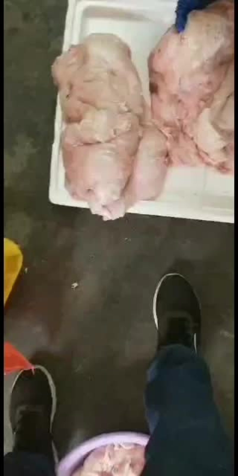 新鲜猪板油，两斤起大的有七八斤，货源充足，品质保障，欢迎联系